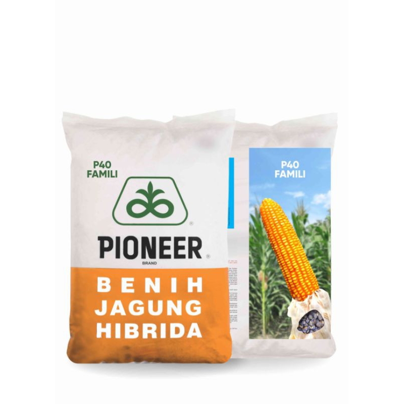 Benih Jagung Hibrida Pioneer P40 Famili