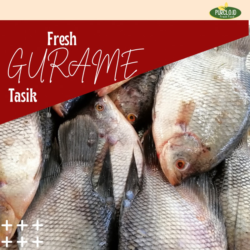 

gurame fresh tasik (bandung only)