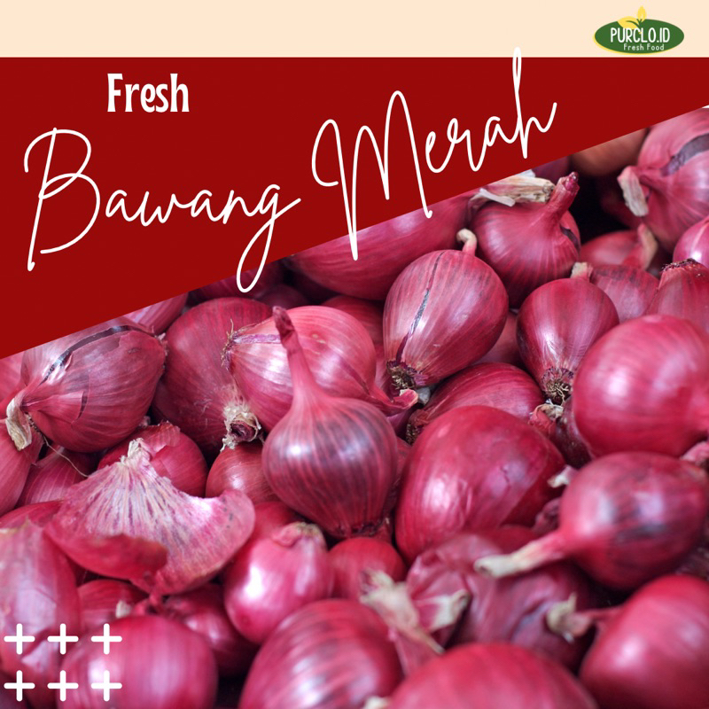 

bawang merah brebes / induk segar bandung