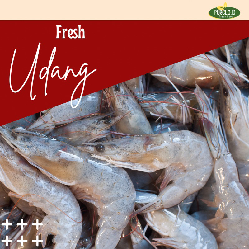 

udang peci fresh kupas / giling bandung purnamajaya instant sameday