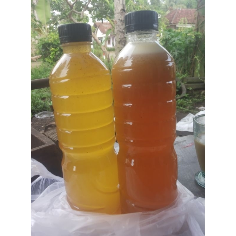 

madu hutan apis dorsata 600ml