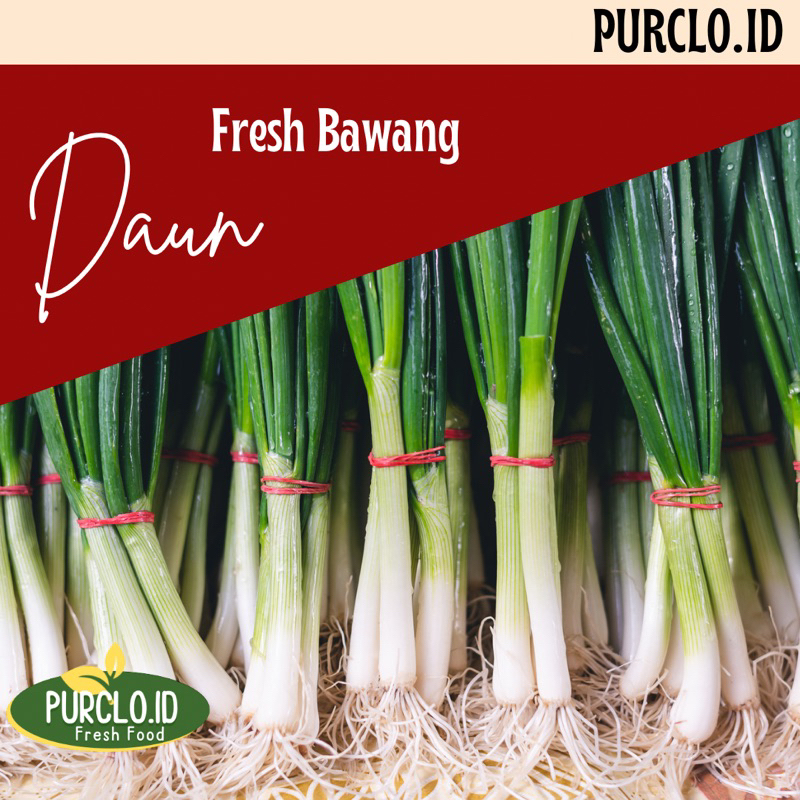 

bawang daun / chung / saledri bandung segar