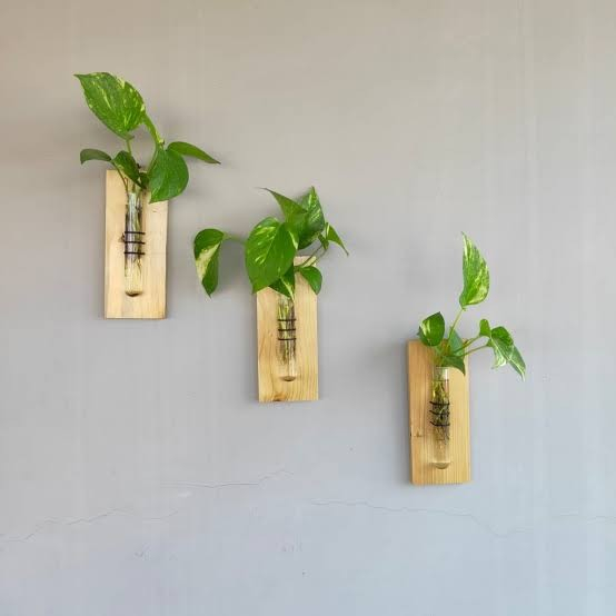 Vas Bunga Kayu Tabung Kaca Gantung Tempel Dindin