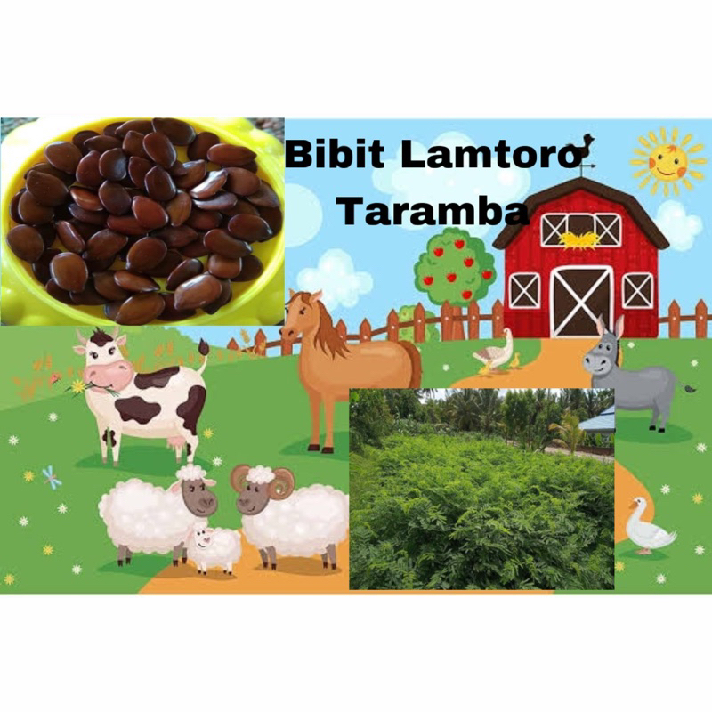Bibit Lamtoro Taramba Kemasan 50 gram