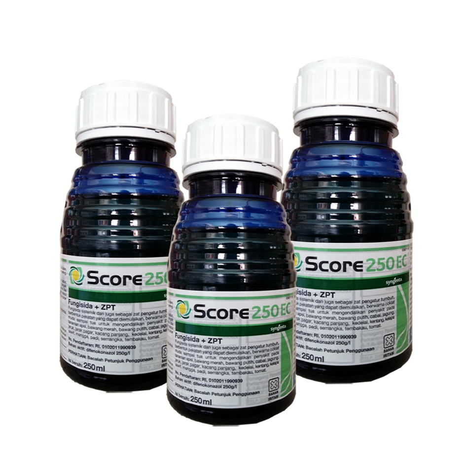 Score 250 ml