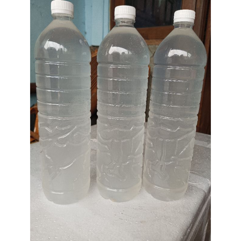 

Air Lontar atau Legen