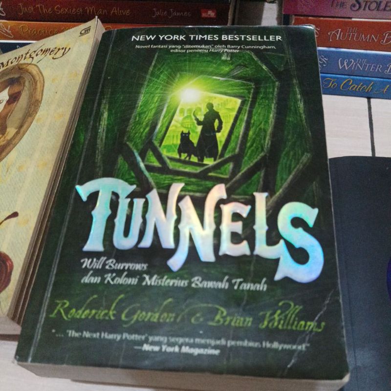 buku novel fantasi remaja tunnels original