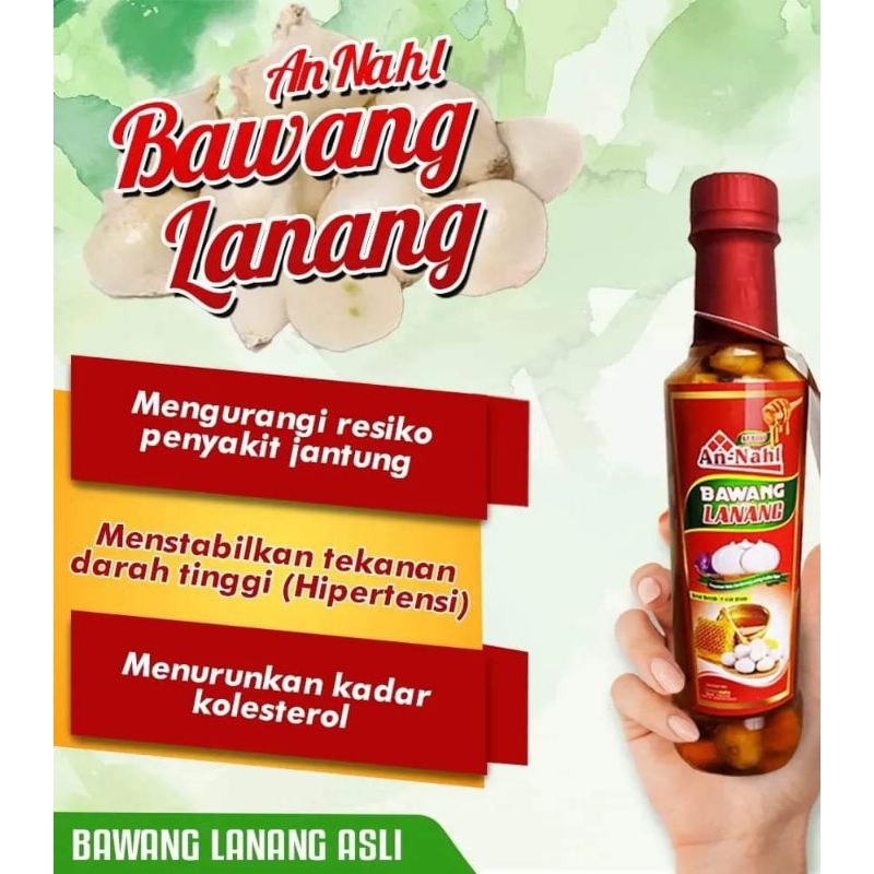MADU BAWANG LANANG AN NAHL 450GRAM