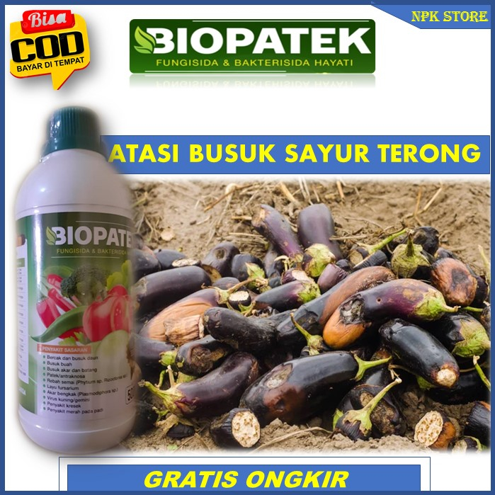 Terbaru BIOPATEK Fungisida & Bakterisida Hayati Pupuk Paling Ampuh Atasi Busuk Buah Terong – Obat Bu