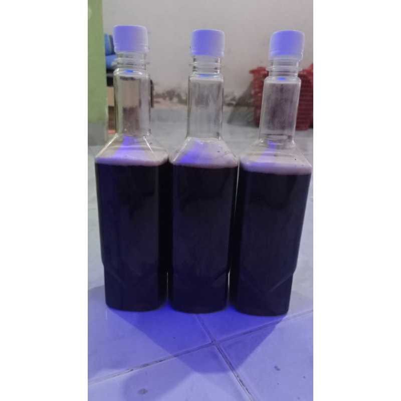 

madu ternak mellifera 100% asli