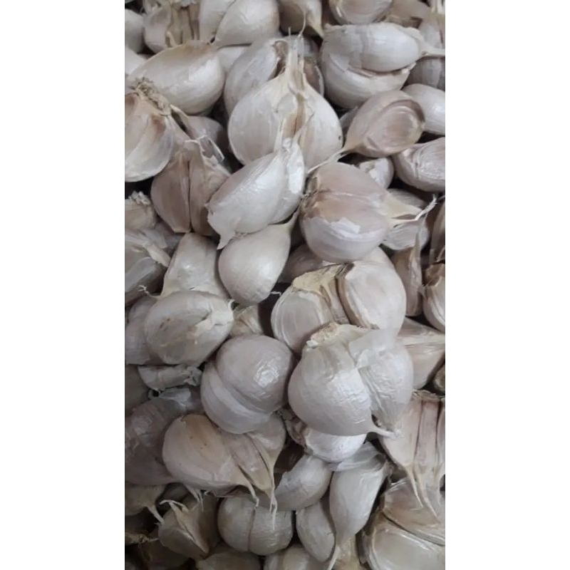 

bawang putih kating super 100%