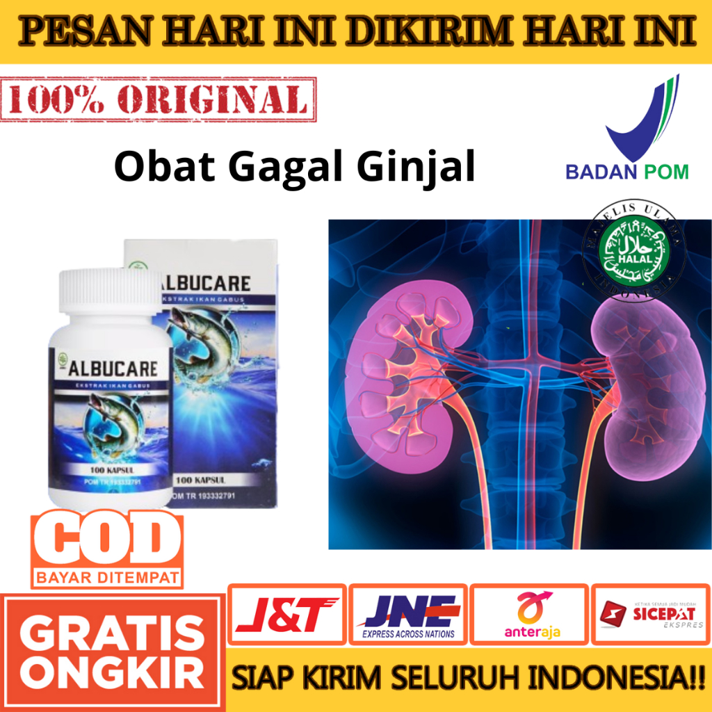 Albucare Kapsul Ikan Gabus Ekstrak Mengobati Gagal Ginjal, Obat Hepatitis, Obat Jangtung Koroner - A