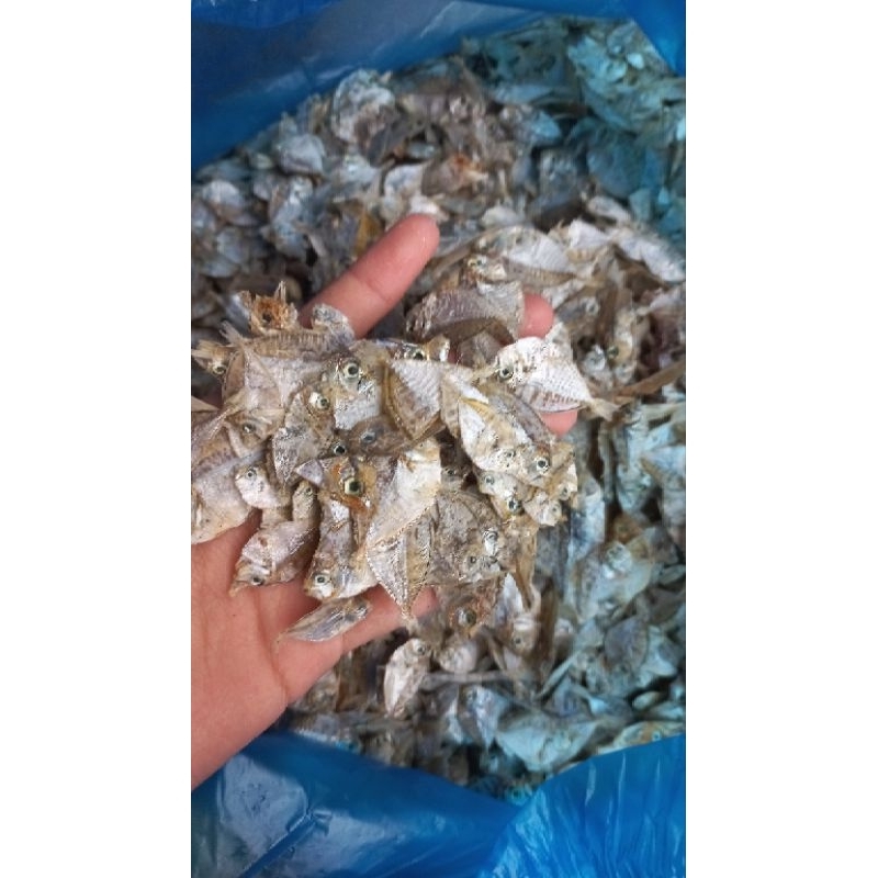 

ikan kering doddok kecil