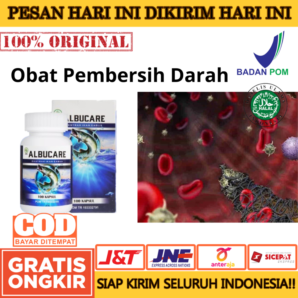 Obat Pembersih Darah, Obat Stoke, Memperbaiki Gizi Buruk - Albucare Kapsul Ikan Gabus Ekstrak 100% O
