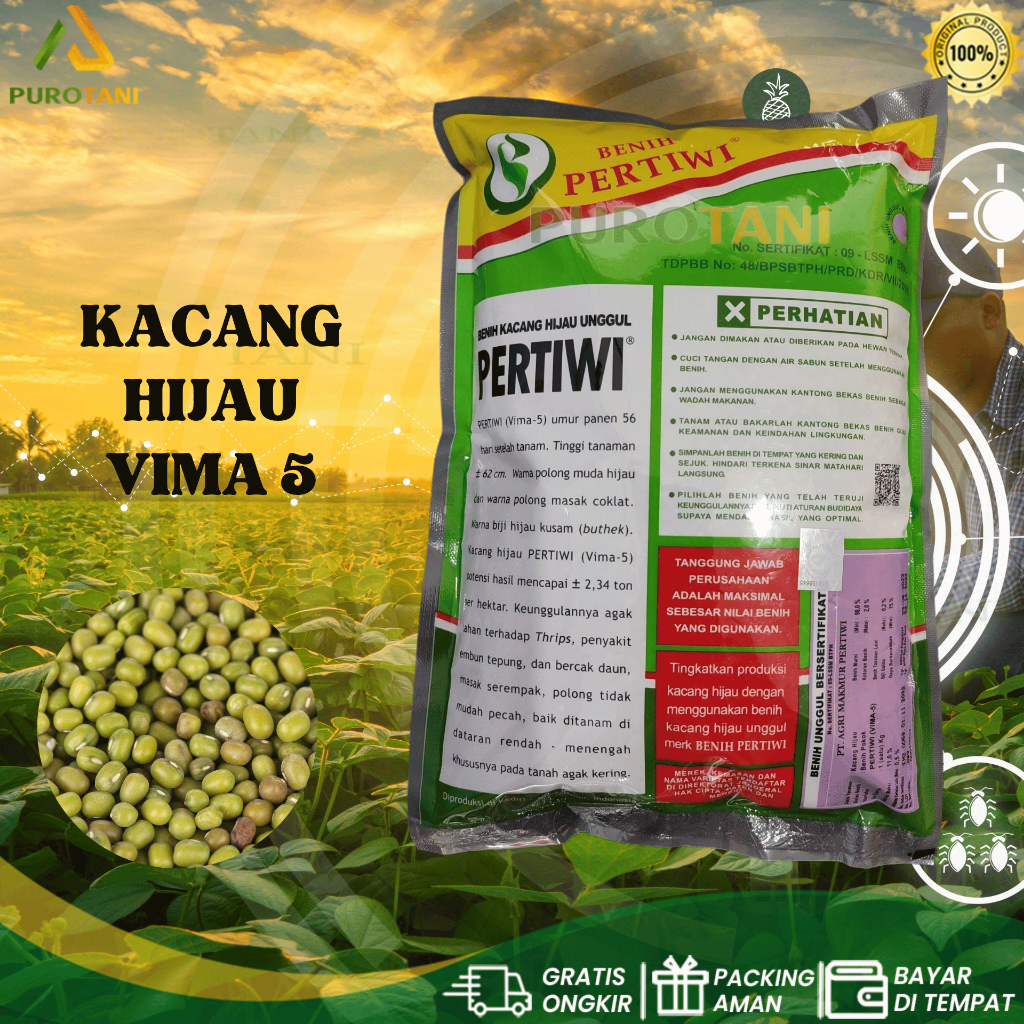 Benih unggul kacang hijau ijo PERTIWI VIMA-5 1 KG