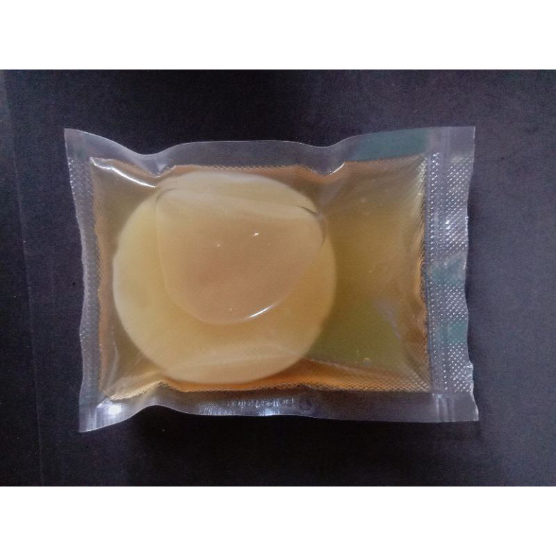 

scoby khombucha