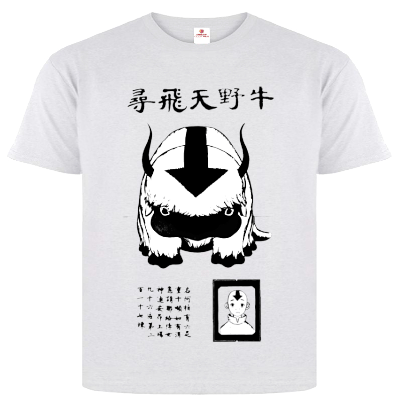 Kaos Anime / Kaos Avatar of Aang Appa Future