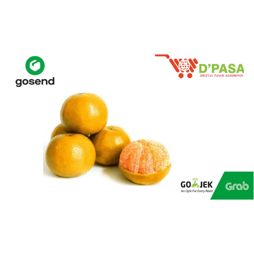 

KIRIM INSTAN Buah Jeruk Siam Limau Manis 500gr Buah Segar