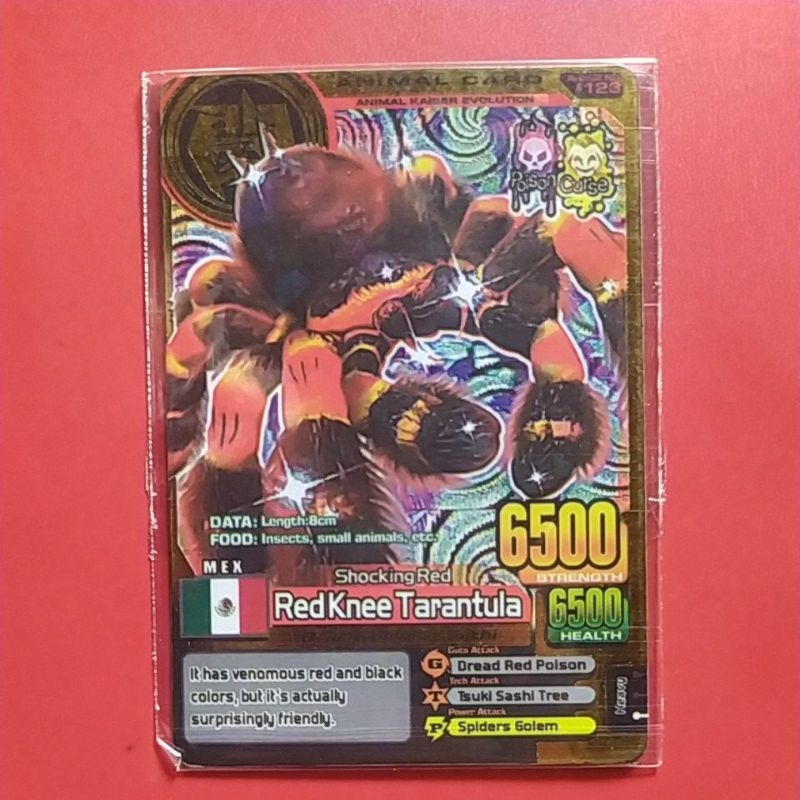 Animal Kaiser RedKnee Tarantula