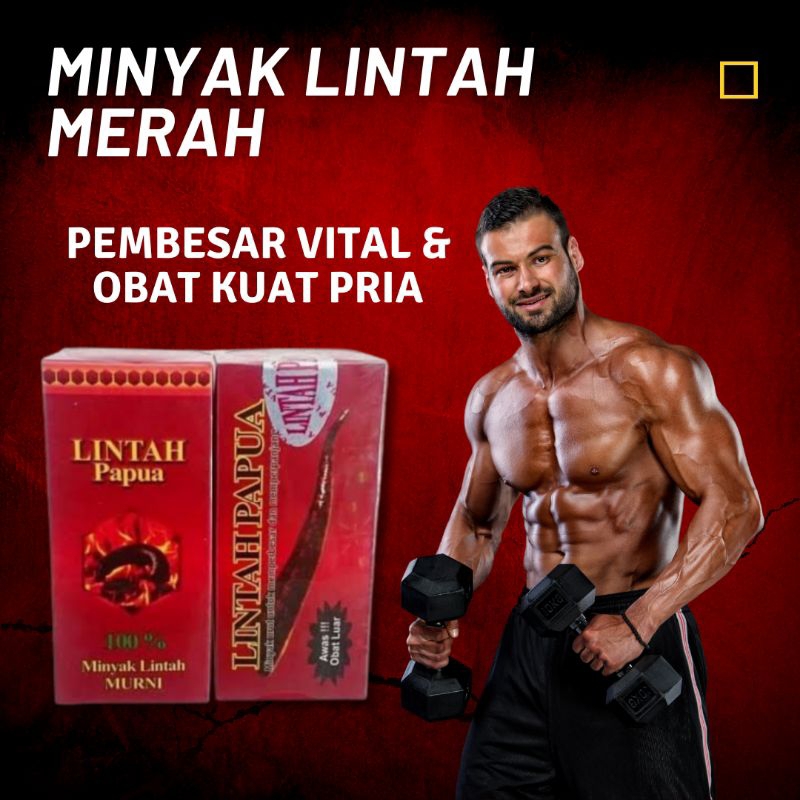 Minyak Lintah merah papua asli 100% original obat pembesar alat pital pria pembesar pennis permanen