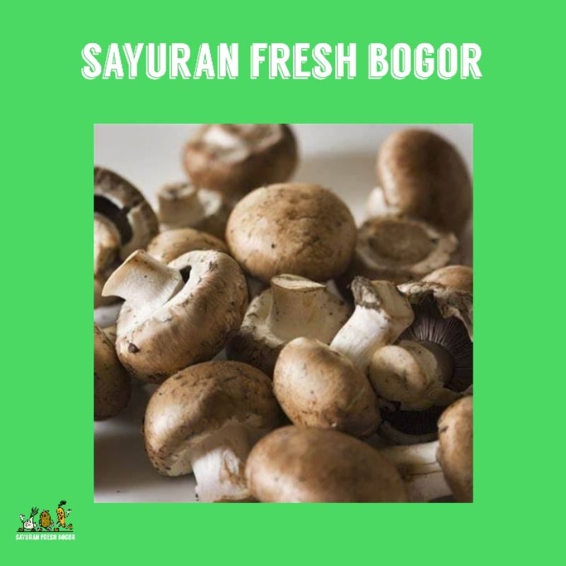 

Jamur Kancing ( 250 Gram ) | Sayuran Fresh Bogor