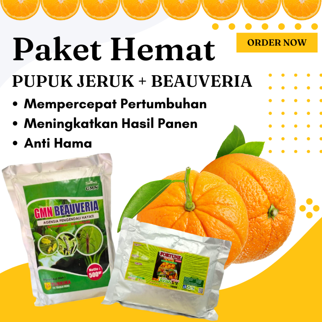 Pupuk Booster Jeruk Cepat Berbuah Lebat, Obat Hama Kutu Loncat Tanaman Jeruk