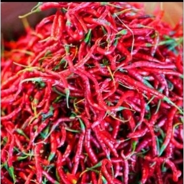 

cabe kriting super fress 1 kg