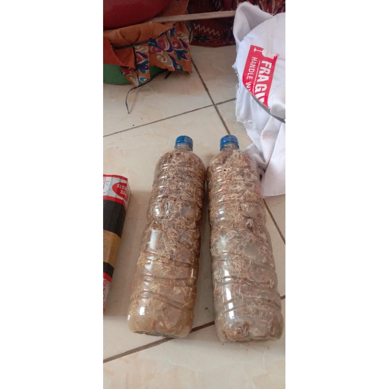 1500ml biang jakaba super isinya full mudah di perbanyak, pupuk segudang fungsi dan manfaat