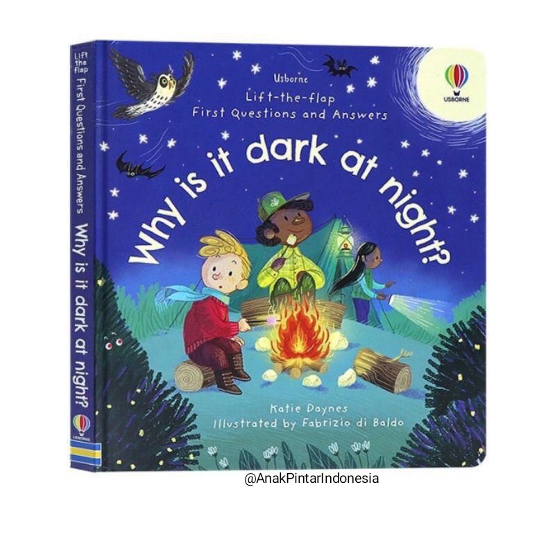 USBORNE LIFT THE FLAP FIRST Q&A WHY IS IT DARK AT NIGHT?