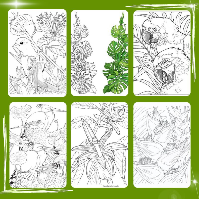 

Gambar Sketsa Mewarnai Tema Nature - Alam - Untuk Orang Dewasa - Self Healing - Isi 50 Lembar + Bonus - Kertas Hvs A4