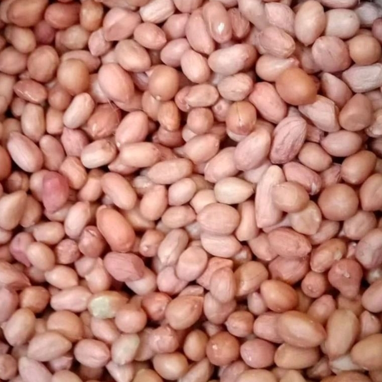 kacang tanah asli tuban 500gram