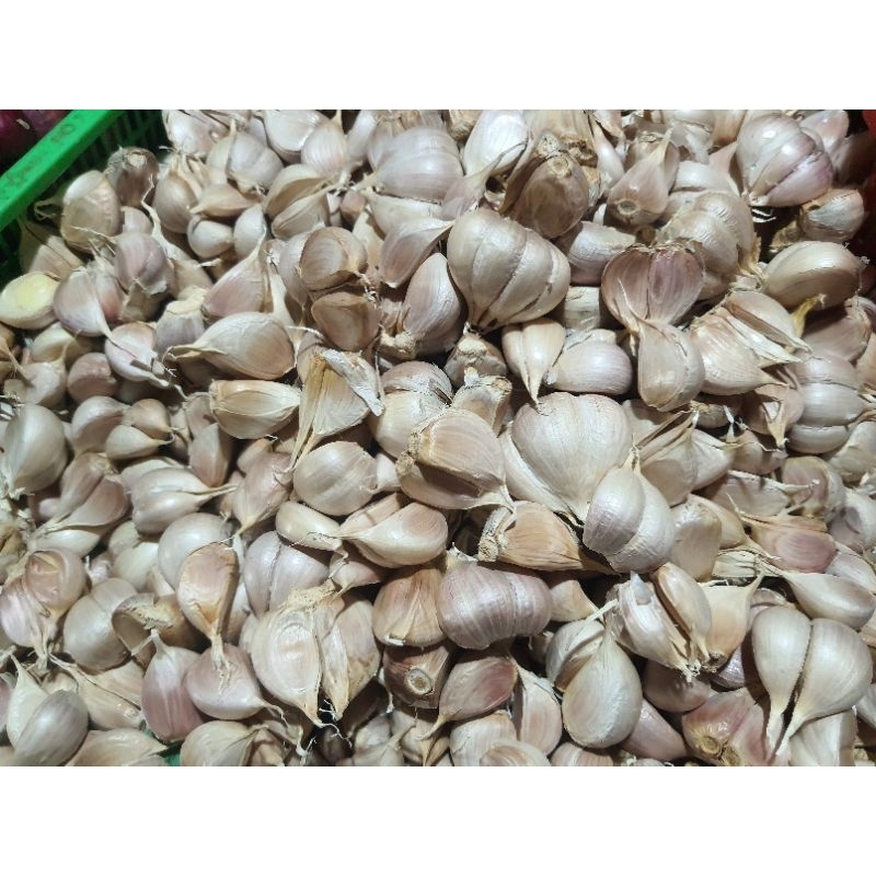 

[SKD Bumbu] BAWANG PUTIH KATING SUPER 1 KG