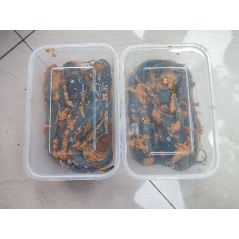 

LEMBU(LELEBUMBUKUNING)