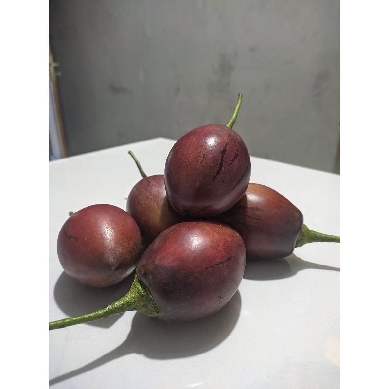 

TERONG BELANDA | TAMARILLO | KEMAR | 500gr |Jenis Holand