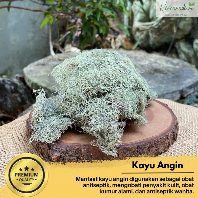 

KAYU ANGIN KERING 1KG