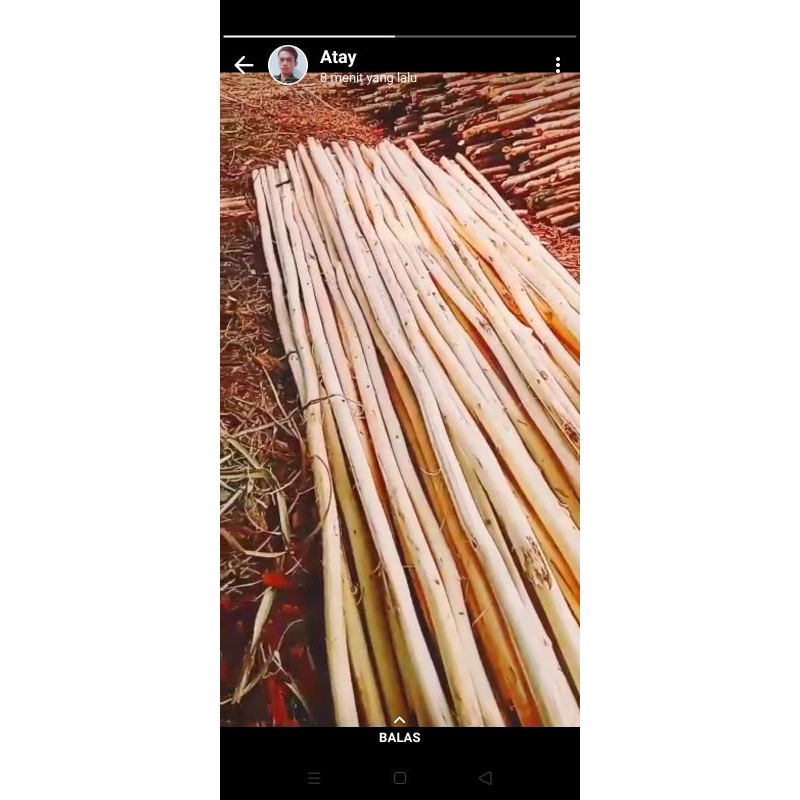 Kayu Dowel / Dolken bulatan / Dolken Cafe 3.4.5.6 cm pjg 3-4mtr