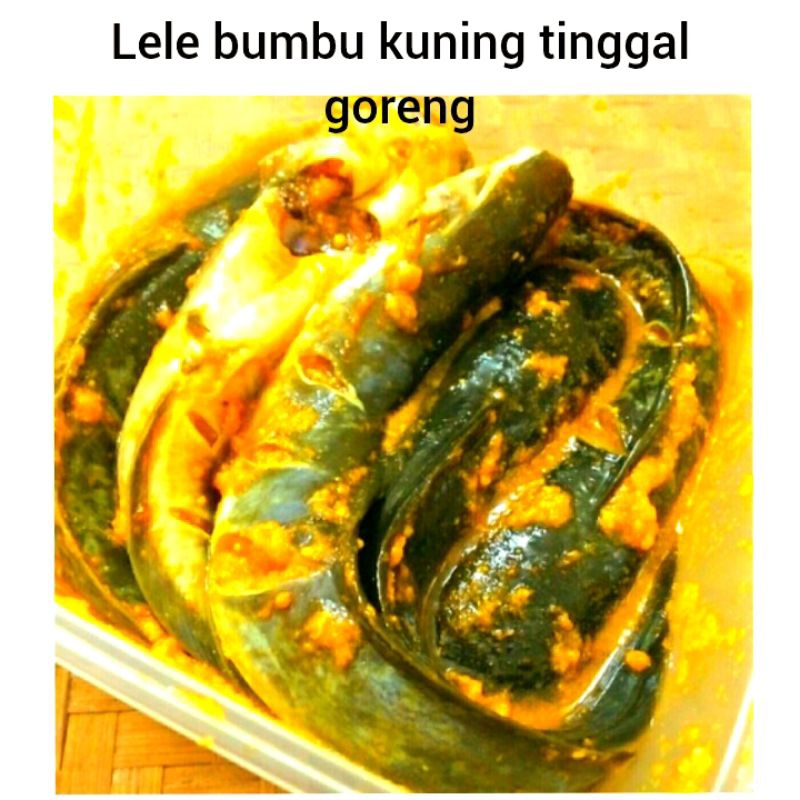 

ikan lele bumbu kuning/marinasi frozen siap goreng 10 ekor
