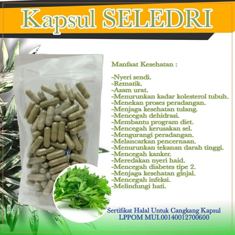 

SELEDRI | Daun Seledri Kapsul Herbal Hipertensi dan Asam Urat