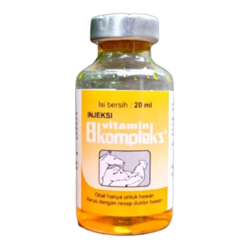 Vitamin B komplek Injeksi 20ml Multivitamin Ayam anjing Sapi