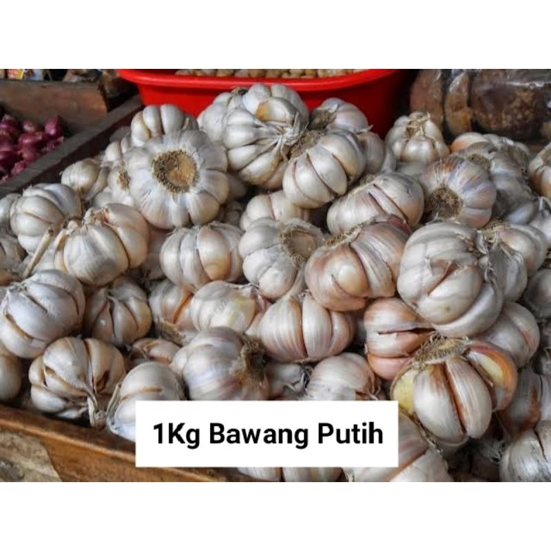 

Bawang putih tua pilihan 1kg