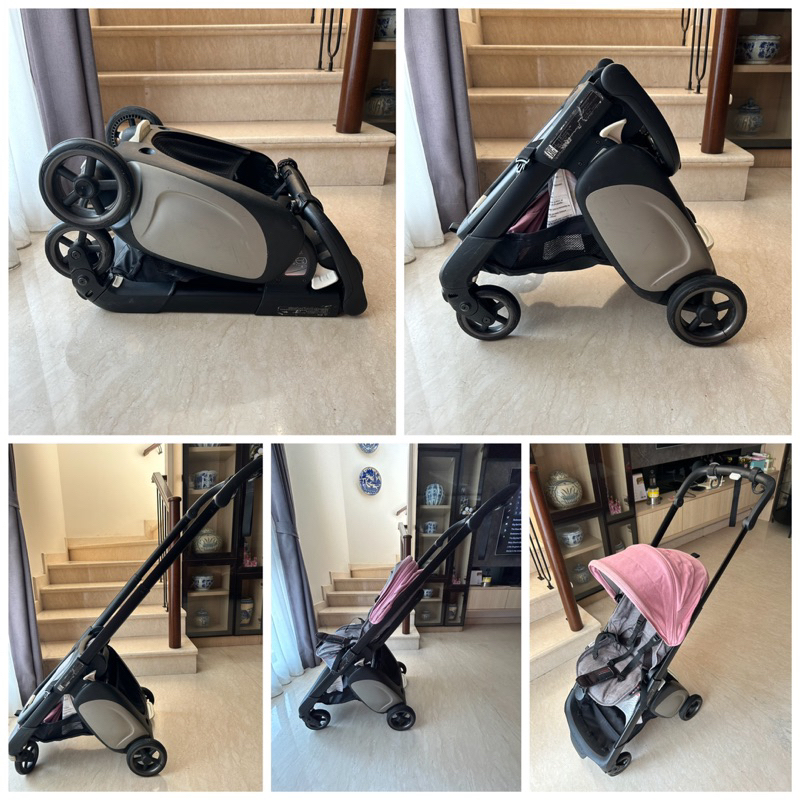 Bugaboo ant