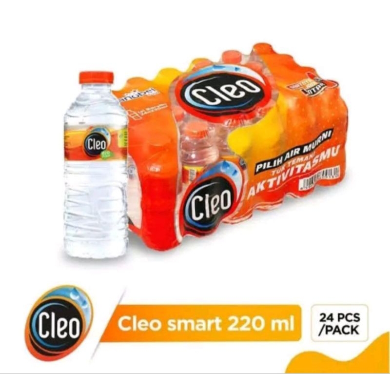 

Cleo Air Murni Smart Mini 220ml ( 1 pack isi 24 pcs ) NB : Beli 4 Pack Lebih murah