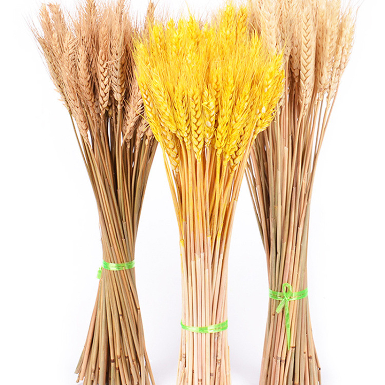 Padi Kering Artificial Bunga Kering Hias Dekorasi Buket Dried Flower Wheat Gandum BG37