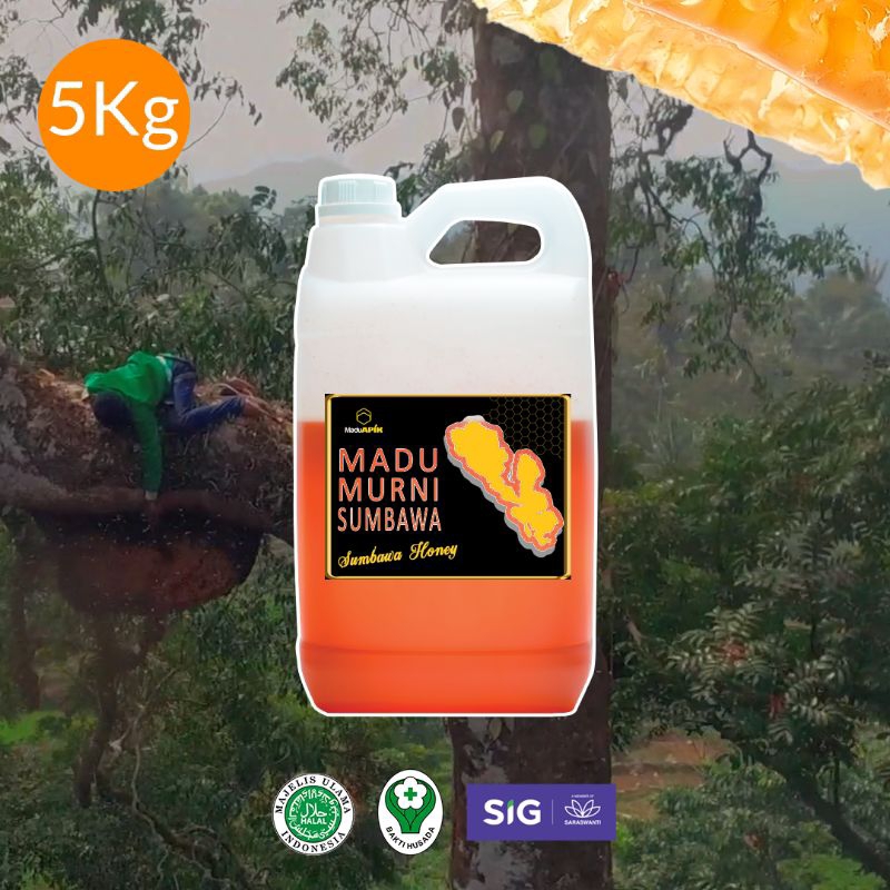 

Madu Asli Hutan Murni (Grosir) Free sampel 80ml