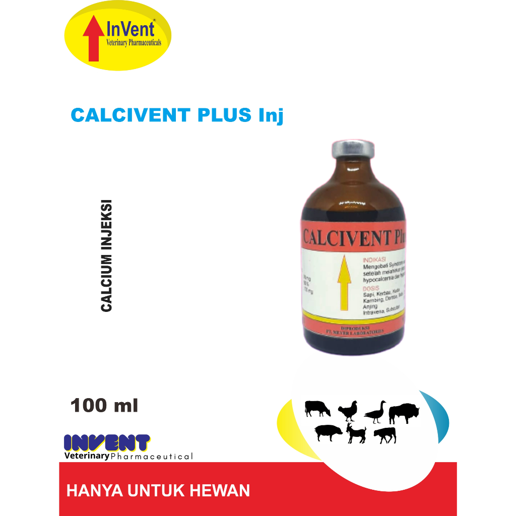 Obat Hewan CALCIVENT PLUS Inj Mengobati Syindrom Sapi Ambruk