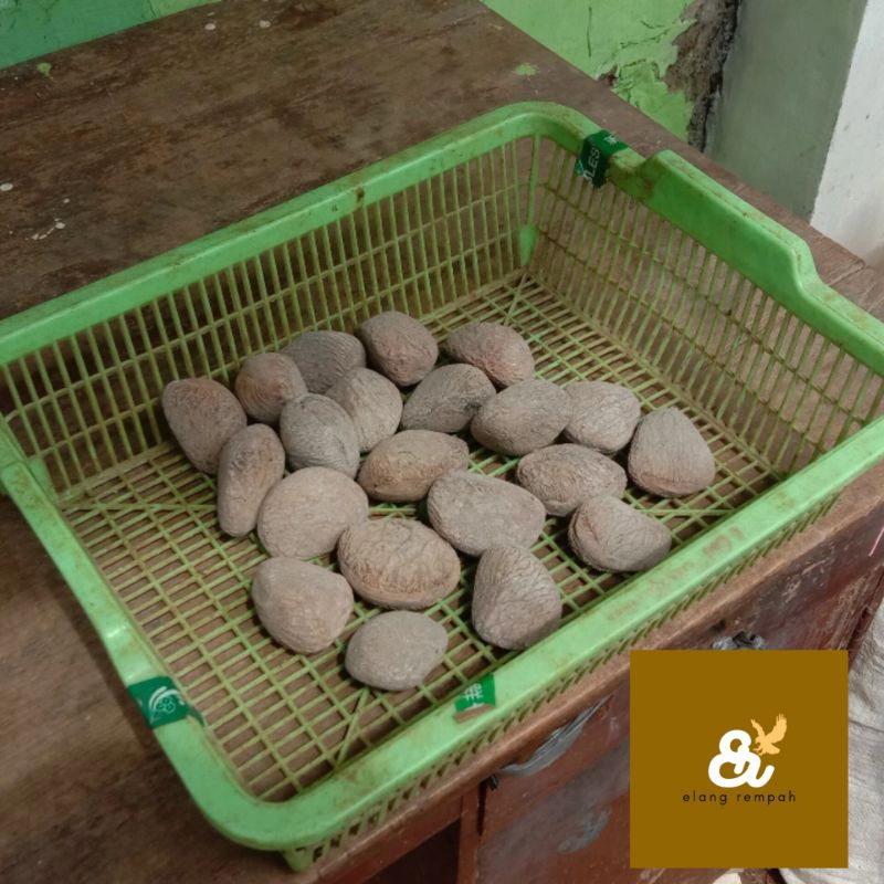 

KLUWEK HITAM KLUWEK RAWON 1 KG BUMBU RAWON