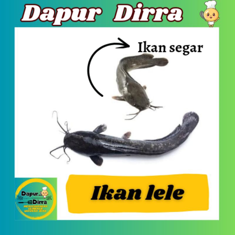 

IKAN LELE SEGAR PALEMBANG . DI JAMIN SEGAR LANGSUNG DARI PASAR . PENGIRIMAN INSTAN CEPAT