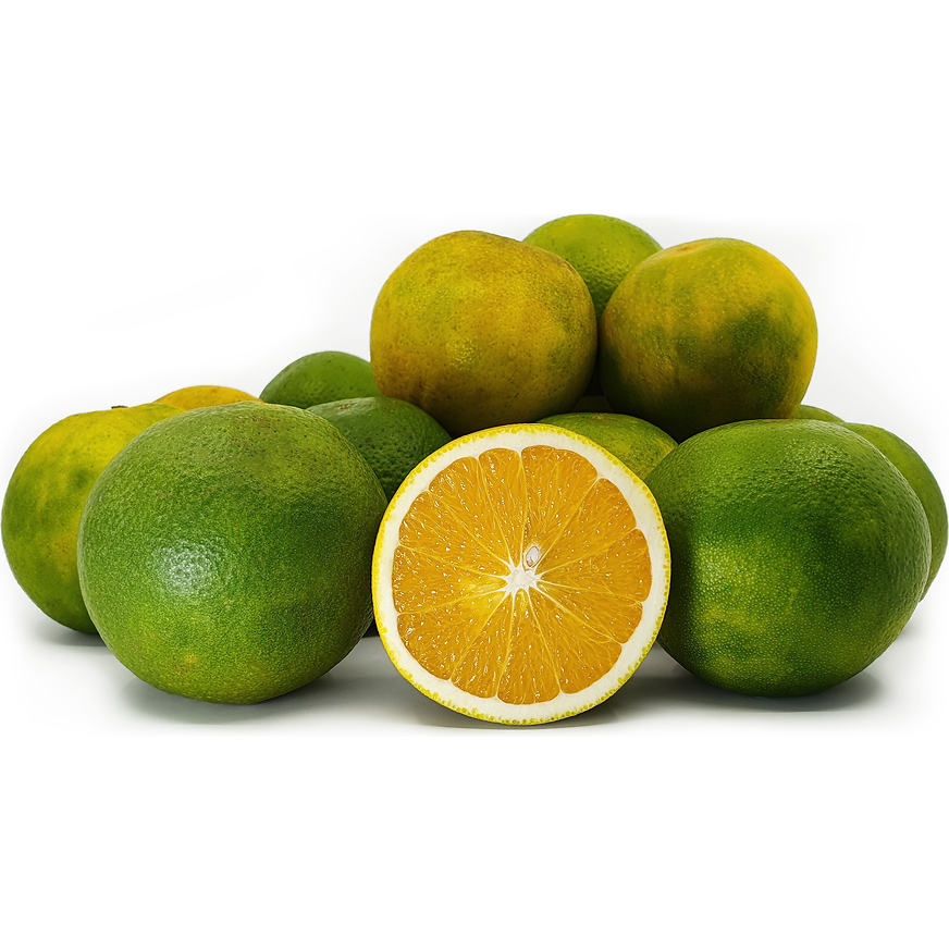 Jeruk Baby Pacitan Jeruk peras Jeruk manis