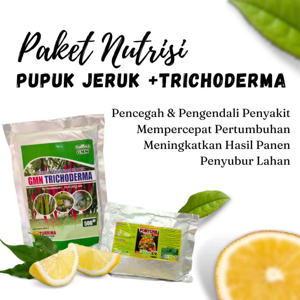 Pupuk Pelebat Jeruk Organik Perangsang Buah, Fungisida Hayati Penyakit Kudis Buah Jeruk
