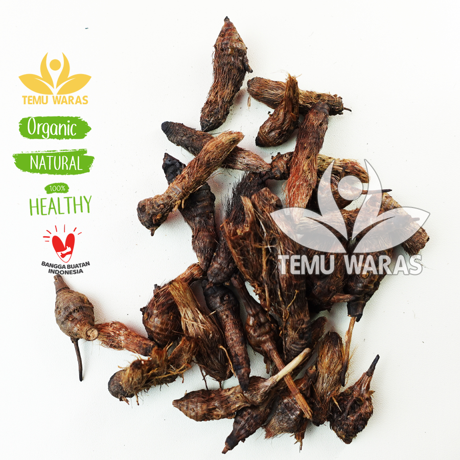 

Umbi Rumput Teki 100gr atau Suket Teki Kering Asli Hutan